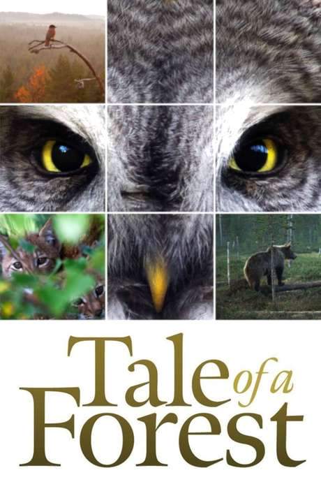Tale of a Forest